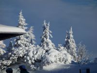 Skifahrt II Wagrain 2017_37