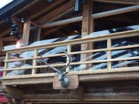 Skifahrt II Wagrain 2017_67