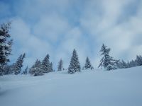 Skifahrt III - Kurswochenende Wildschönau 2017_62